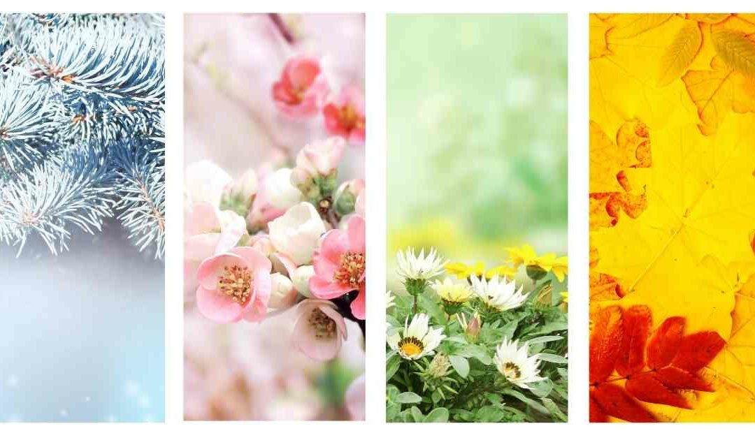 Manger de saison pour rester en bonne santé